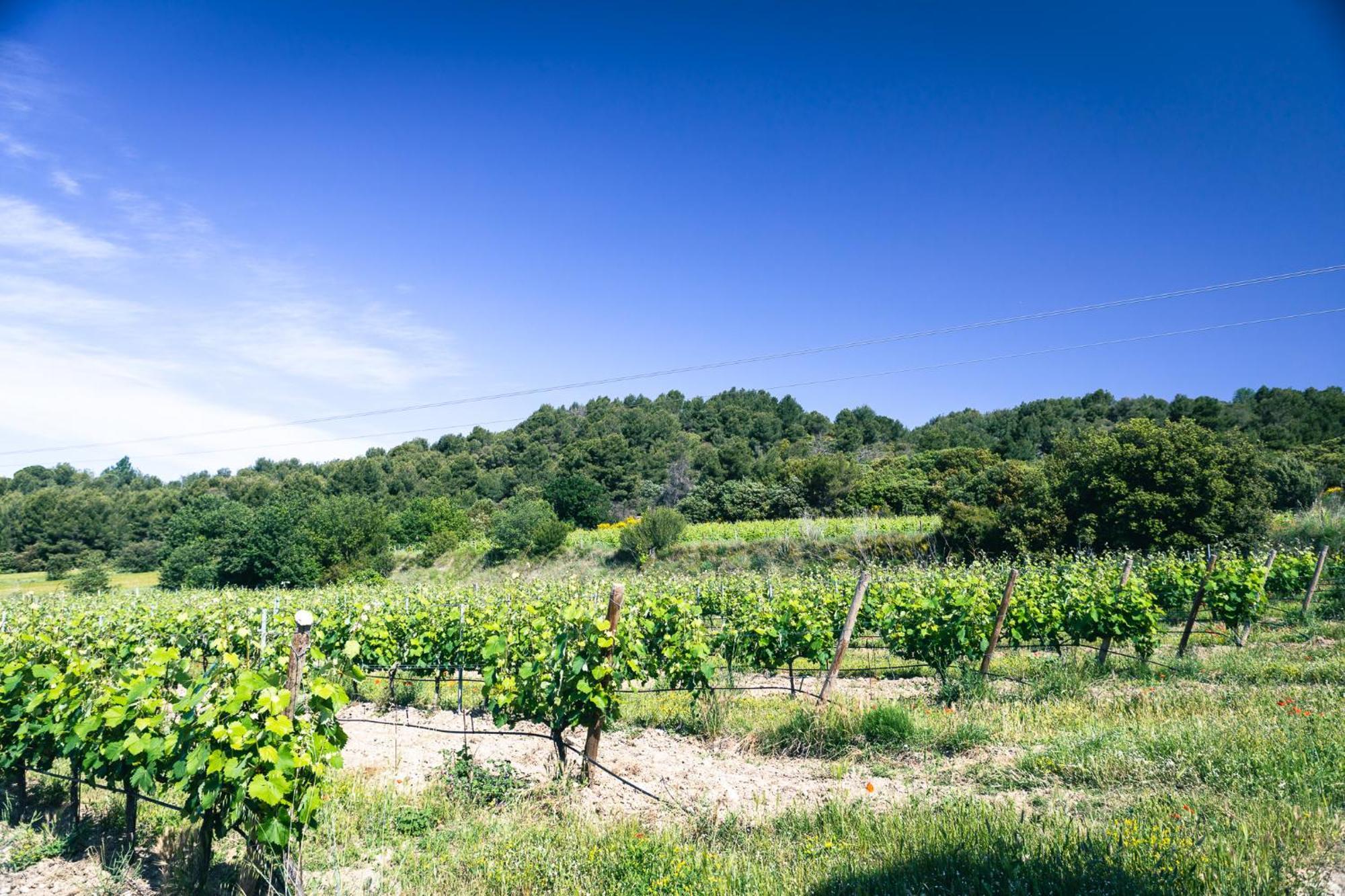 Apartamento Domaine Des Peyre Robion en Luberon Exterior foto